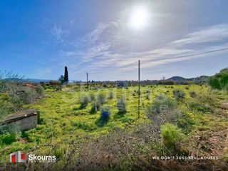 Αγροτεμάχια 6.710 τ.μ. προς πώληση, Τολό-thumb-14