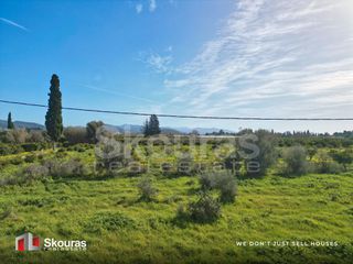 Αγροτεμάχια 6.710 τ.μ. προς πώληση, Τολό-thumb-16