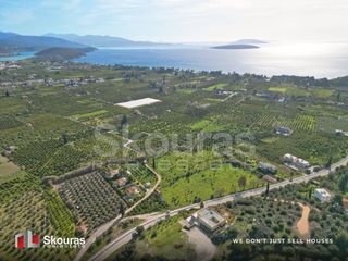 Αγροτεμάχια 6.710 τ.μ. προς πώληση, Τολό-thumb-2