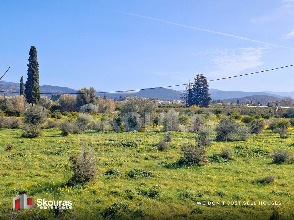 Αγροτεμάχια 6.710 τ.μ. προς πώληση, Τολό