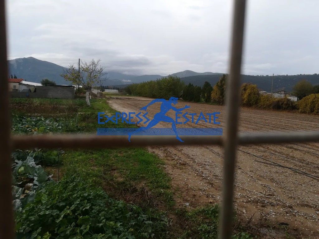 Αγροτεμάχια 7.000 τ.μ. πρός πώληση, Αθήνα - Ανατολικά Προάστια, Μαραθώνας