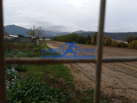 Αγροτεμάχια 7.000 τ.μ. προς πώληση