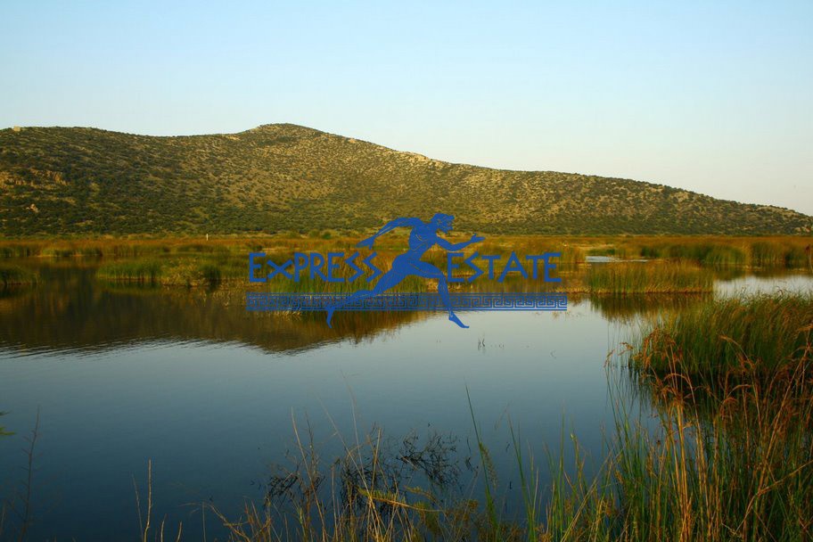 Οικόπεδο 1.120 τ.μ. πρός πώληση, Αθήνα - Ανατολικά Προάστια, Μαραθώνας