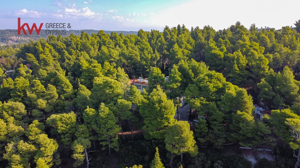 Ξενοδοχείο 894 τ.μ. προς πώληση, Σίβηρη