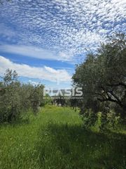 Οικόπεδο 402,80 τ.μ. για πώληση