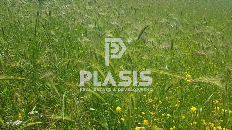 Parcel 546 sqm for sale, Athens - East, Marathonas