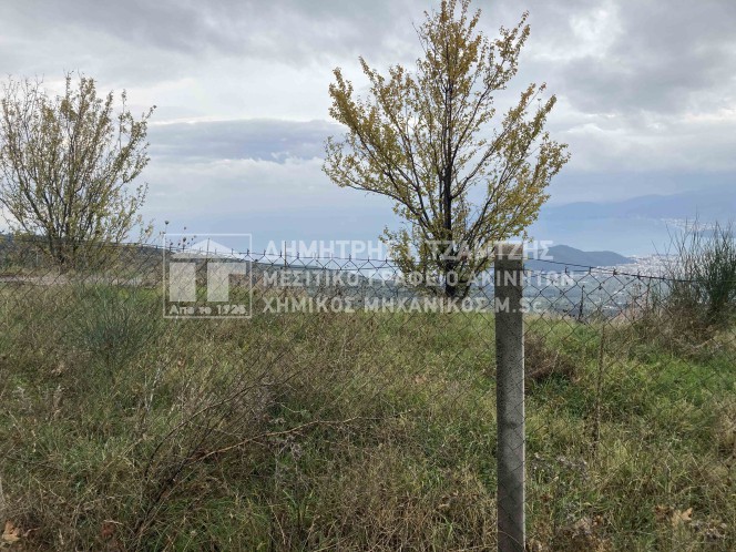 Αγροτεμάχια 552 τ.μ. πρός πώληση, Μαγνησία, Πορταριά