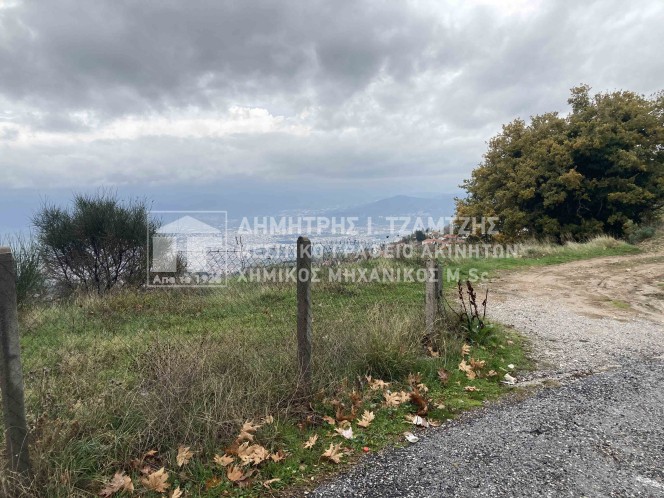 Αγροτεμάχια 552 τ.μ. πρός πώληση, Μαγνησία, Πορταριά