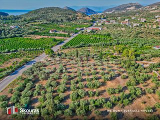 Αγροτεμάχια 4.012 τ.μ. προς πώληση, Τολό-thumb-24