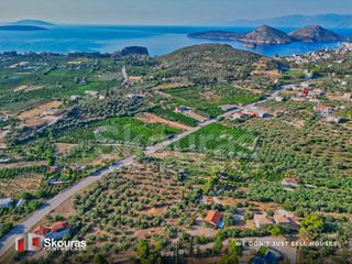 Αγροτεμάχια 4.012 τ.μ. προς πώληση, Τολό-thumb-23