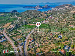 Αγροτεμάχια 4.012 τ.μ. προς πώληση, Τολό-thumb-13