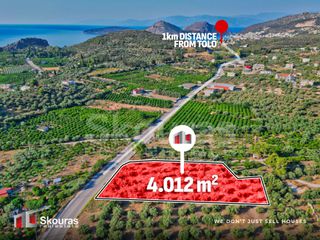 Αγροτεμάχια 4.012 τ.μ. για πώληση
