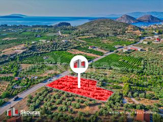 Αγροτεμάχια 4.012 τ.μ. προς πώληση, Τολό-thumb-7