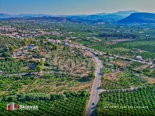Αγροτεμάχια 4.012 τ.μ. προς πώληση, Τολό-thumb-16