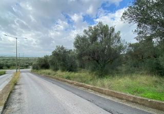 Οικόπεδο 2.402 τ.μ. για πώληση, Μεσσηνία, Θουρία-thumb-1