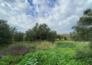 Οικόπεδο 2.402 τ.μ. για πώληση, Μεσσηνία, Θουρία-thumb-3