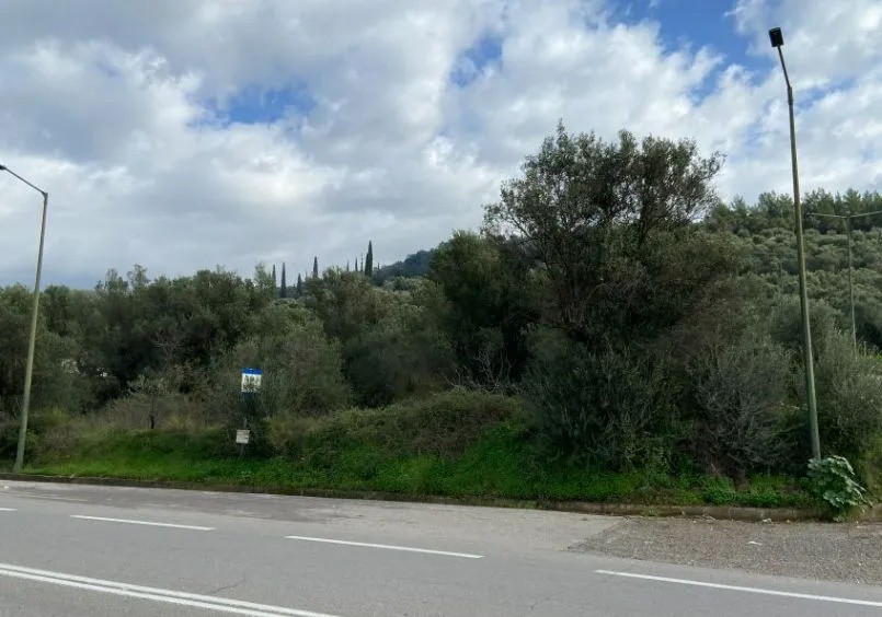 Οικόπεδο 2.402 τ.μ. για πώληση, Μεσσηνία, Θουρία