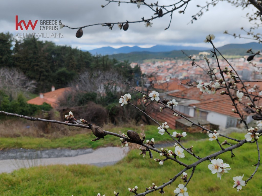 Land plot 920 sqm for sale, Poligiros
