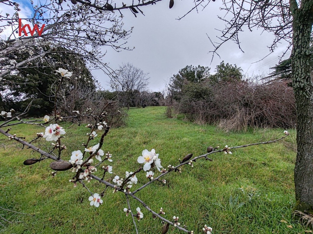 Land plot 920 sqm for sale, Poligiros