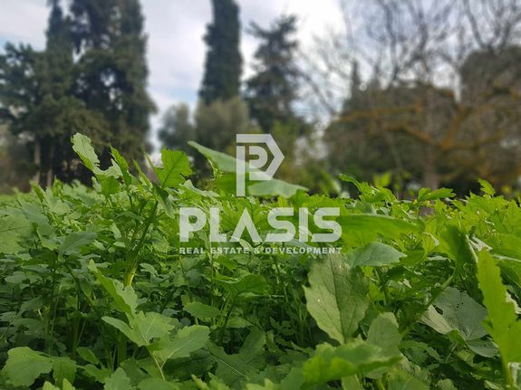 Parcel 984,75 sqm for sale, Athens - East, Paiania
