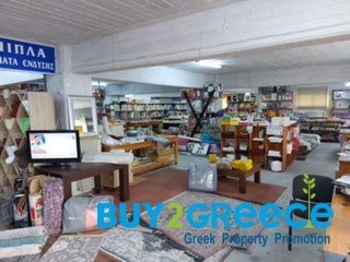 Βιοτεχνικός χώρος 1.900 τ.μ. για πώληση, Αρκαδία, Τρίπολη-thumb-21