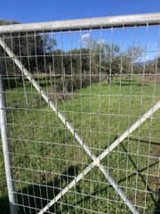 Αγροτεμάχια 9.500 τ.μ. για πώληση, Μεσσηνία, Ανδανία-thumb-9
