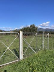 Αγροτεμάχια 9.500 τ.μ. για πώληση, Μεσσηνία, Ανδανία-thumb-5