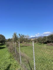 Αγροτεμάχια 9.500 τ.μ. για πώληση, Μεσσηνία, Ανδανία-thumb-4