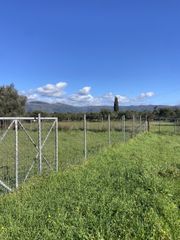 Αγροτεμάχια 9.500 τ.μ. για πώληση, Μεσσηνία, Ανδανία-thumb-7
