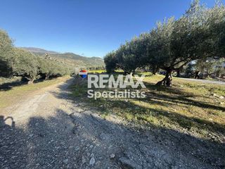 Οικόπεδο 260 τ.μ. για πώληση, Ν. Χανίων, Κολυμβάρι-thumb-1