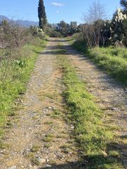 Αγροτεμάχια 8.227 τ.μ. προς πώληση, Σταθμός Μελιγαλά-thumb-7