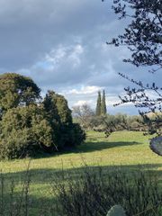 Αγροτεμάχια 8.227 τ.μ. προς πώληση, Σταθμός Μελιγαλά-thumb-5
