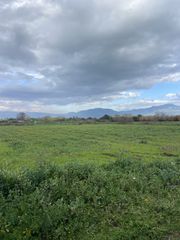 Αγροτεμάχια 8.227 τ.μ. προς πώληση, Σταθμός Μελιγαλά-thumb-14