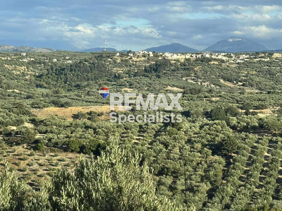 Οικόπεδο 4.935 τ.μ. προς πώληση, Καβρός