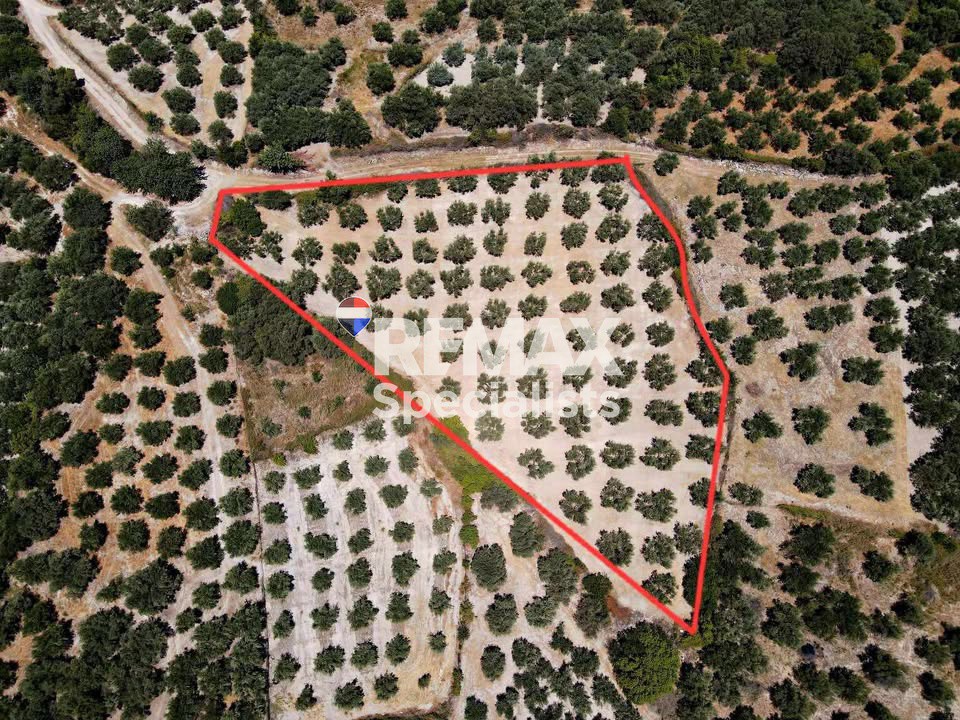 Οικόπεδο 4.935 τ.μ. προς πώληση, Καβρός