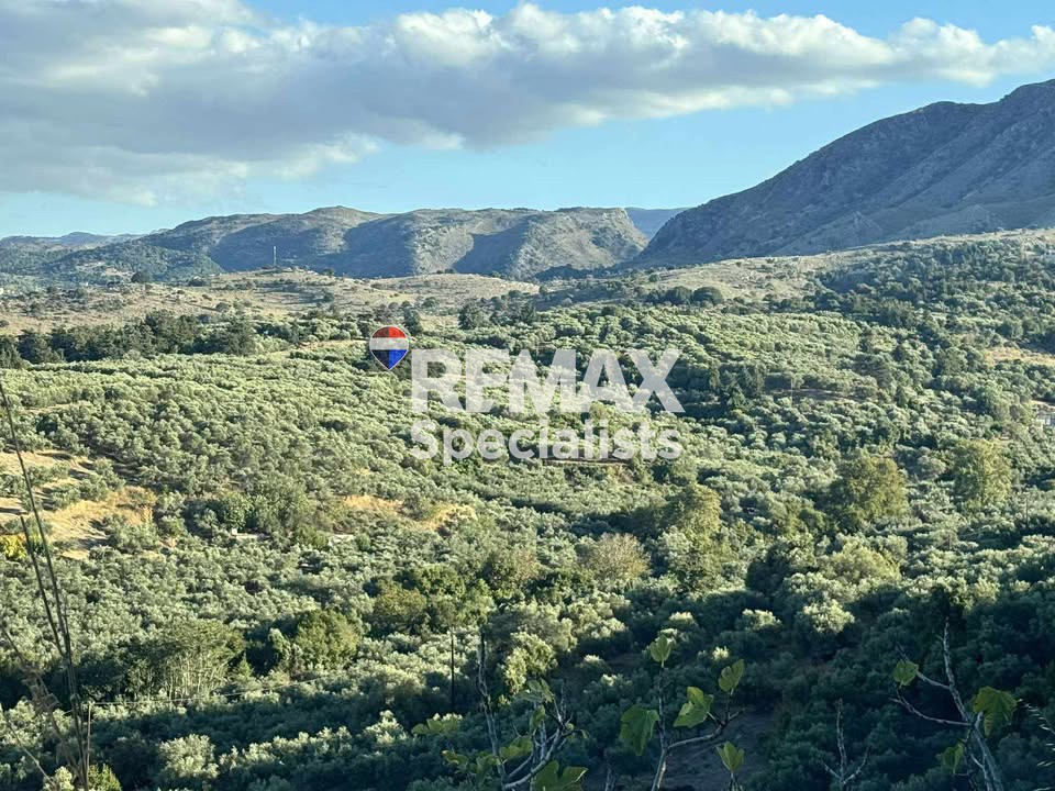 Οικόπεδο 4.935 τ.μ. προς πώληση, Καβρός