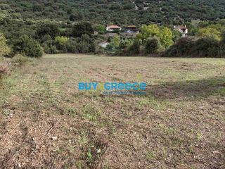 Οικόπεδο 2.456 τ.μ. για πώληση, Αρκαδία, Φάλανθος-thumb-3