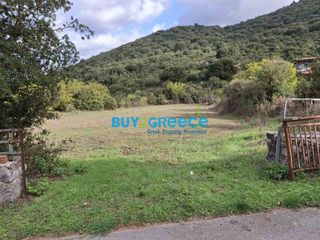 Οικόπεδο 2.456 τ.μ. για πώληση, Αρκαδία, Φάλανθος-thumb-5