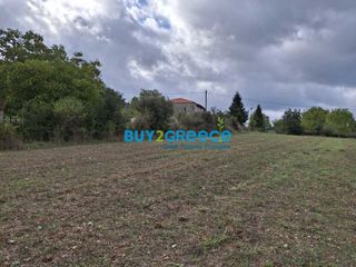 Οικόπεδο 2.456 τ.μ. για πώληση, Αρκαδία, Φάλανθος-thumb-2
