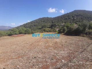 Οικόπεδο 2.456 τ.μ. για πώληση, Αρκαδία, Φάλανθος-thumb-1