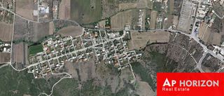 Αγροτεμάχια 4.000 τ.μ. για πώληση