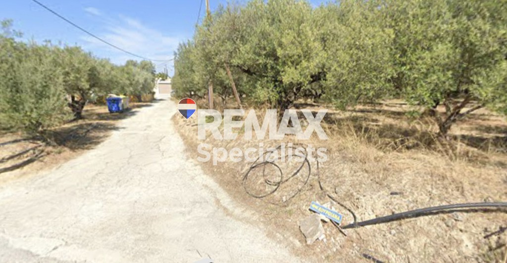 Οικόπεδο 1.500 τ.μ. προς πώληση, Κουρθιανά