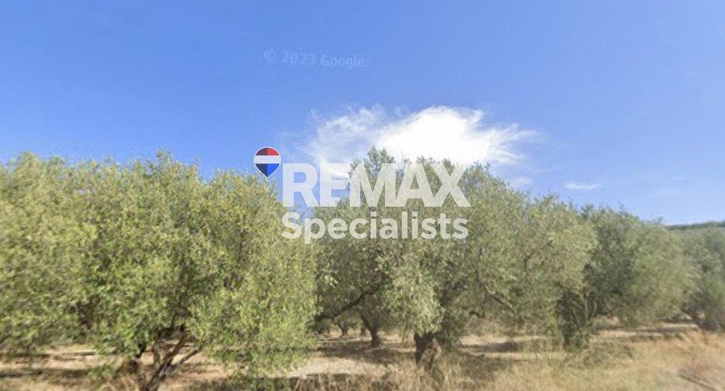 Οικόπεδο 1.500 τ.μ. προς πώληση, Κουρθιανά