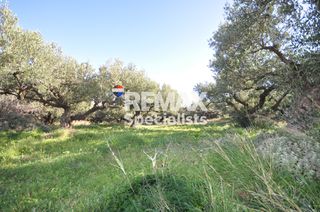 Οικόπεδο 175 τ.μ. για πώληση