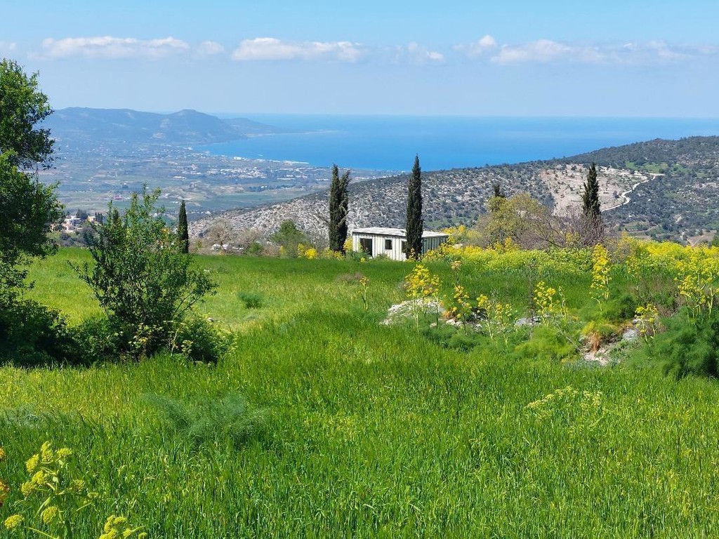 Οικόπεδο 23.000 τ.μ. για πώληση, Πάφος
