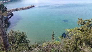 Οικόπεδο 387 τ.μ. για πώληση, Μεσσηνία, Αβία-thumb-1