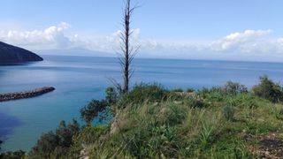 Οικόπεδο 387 τ.μ. για πώληση, Μεσσηνία, Αβία-thumb-4