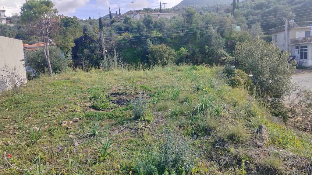 Οικόπεδο 387 τ.μ. προς πώληση, Κιτριές