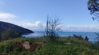 Οικόπεδο 387 τ.μ. για πώληση, Μεσσηνία, Αβία-thumb-10