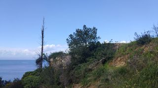 Οικόπεδο 387 τ.μ. για πώληση, Μεσσηνία, Αβία-thumb-11